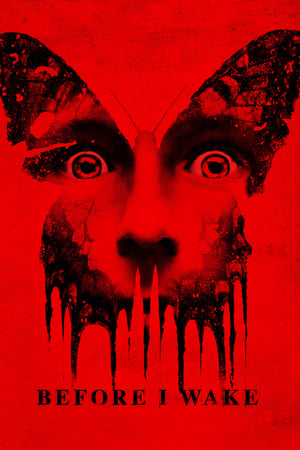 Before I Wake (2016) Dubbed | Dubbed Hindi Movie HDRip [900MB]